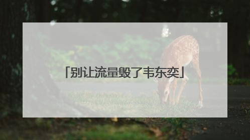 别让流量毁了韦东奕