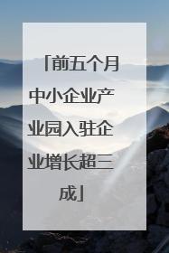 前五个月中小企业产业园入驻企业增长超三成