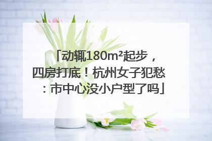 动辄180m²起步，四房打底！杭州女子犯愁：市中心没小户型了吗