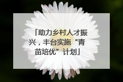 助力乡村人才振兴，丰台实施“青苗培优”计划