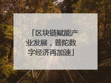 区块链赋能产业发展，普陀数字经济再加速