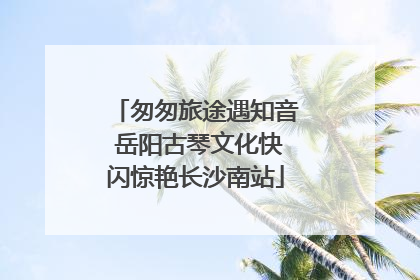 匆匆旅途遇知音 岳阳古琴文化快闪惊艳长沙南站