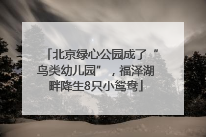 北京绿心公园成了“鸟类幼儿园”，福泽湖畔降生8只小鸳鸯