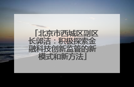 北京市西城区副区长郭洁：积极探索金融科技创新监管的新模式和新方法
