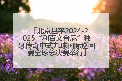 北京昌平2024-2025“利百文台尼”独牙传奇中式九球国际巡回赛全球总决赛举行