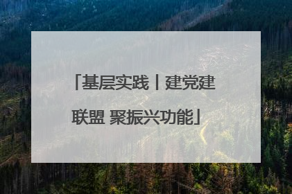 基层实践丨建党建联盟 聚振兴功能