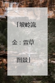 坡岭流金：萱草图景