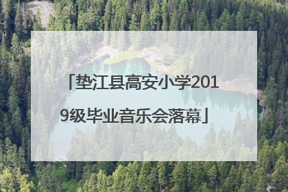 垫江县高安小学2019级毕业音乐会落幕