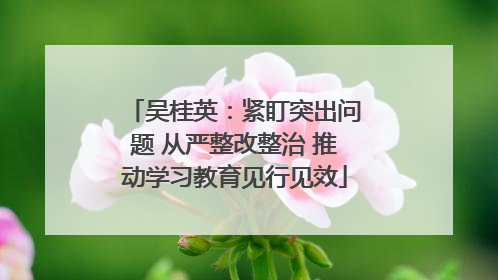 吴桂英：紧盯突出问题 从严整改整治 推动学习教育见行见效