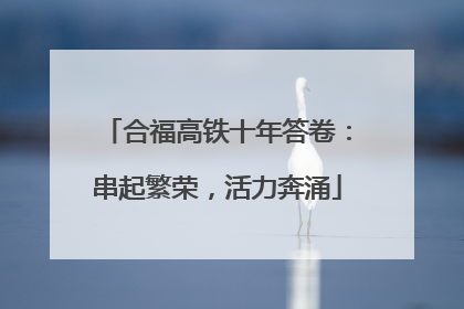 合福高铁十年答卷：串起繁荣，活力奔涌