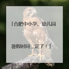 合肥中小学、幼儿园暑假时间，定了！