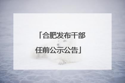 合肥发布干部任前公示公告