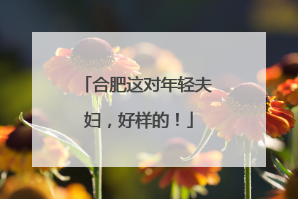 合肥这对年轻夫妇，好样的！
