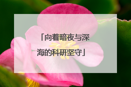 向着暗夜与深海的科研坚守