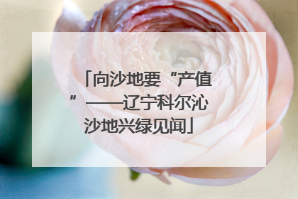 向沙地要“产值”——辽宁科尔沁沙地兴绿见闻