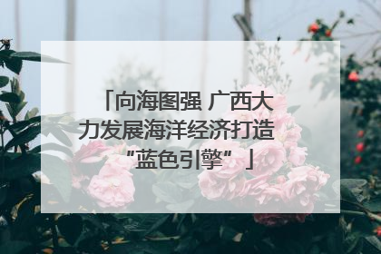 向海图强 广西大力发展海洋经济打造“蓝色引擎”