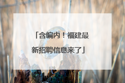 含编内！福建最新招聘信息来了
