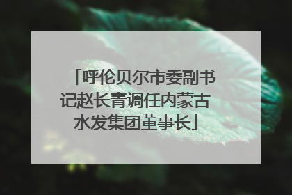 呼伦贝尔市委副书记赵长青调任内蒙古水发集团董事长