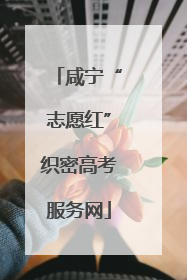 咸宁“志愿红”织密高考服务网