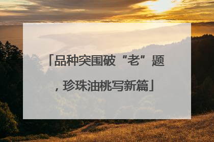 品种突围破“老”题，珍珠油桃写新篇