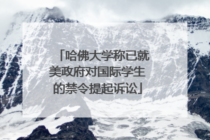哈佛大学称已就美政府对国际学生的禁令提起诉讼