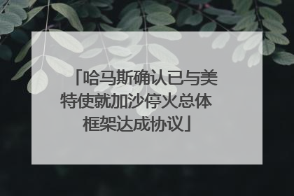 哈马斯确认已与美特使就加沙停火总体框架达成协议