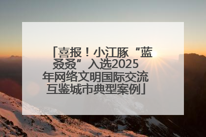 喜报！小江豚“蓝叒叒”入选2025年网络文明国际交流互鉴城市典型案例