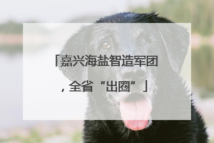 嘉兴海盐智造军团，全省“出圈”