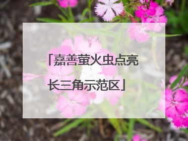 嘉善萤火虫点亮长三角示范区