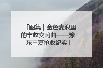 图集｜金色麦浪里的丰收交响曲——豫东三夏抢收纪实