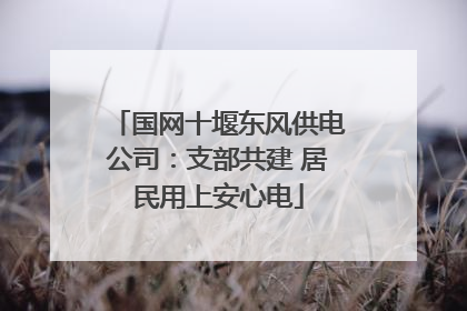 国网十堰东风供电公司：支部共建 居民用上安心电