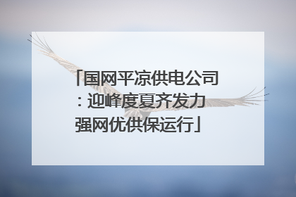 国网平凉供电公司：迎峰度夏齐发力 强网优供保运行