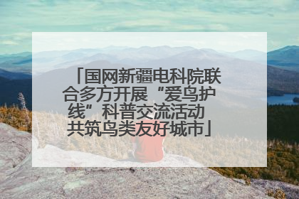 国网新疆电科院联合多方开展“爱鸟护线”科普交流活动 共筑鸟类友好城市