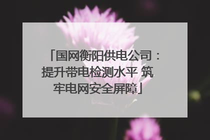 国网衡阳供电公司：提升带电检测水平 筑牢电网安全屏障