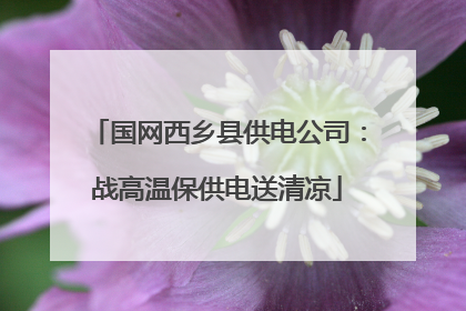 国网西乡县供电公司：战高温保供电送清凉