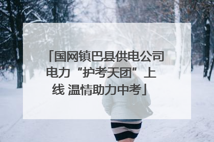 国网镇巴县供电公司 电力“护考天团”上线 温情助力中考