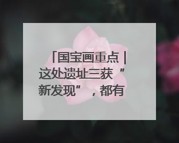 国宝画重点｜这处遗址三获“新发现”，都有啥看点？