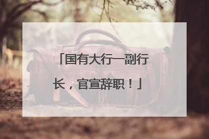 国有大行一副行长，官宣辞职！