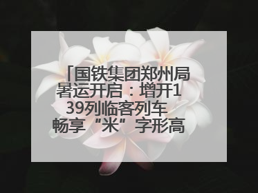国铁集团郑州局暑运开启：增开139列临客列车 畅享“米”字形高铁出行圈