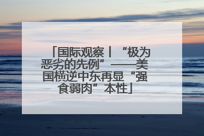 国际观察丨“极为恶劣的先例”——美国横逆中东再显“强食弱肉”本性