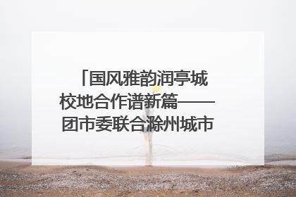 国风雅韵润亭城 校地合作谱新篇——团市委联合滁州城市职业学院助力传统文化“破圈”绽放