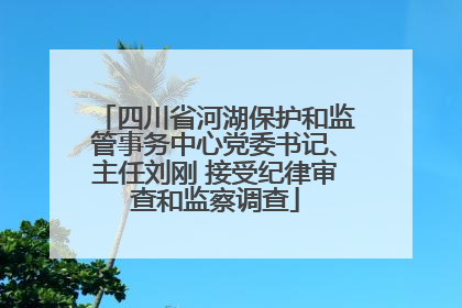 四川省河湖保护和监管事务中心党委书记、主任刘刚 接受纪律审查和监察调查