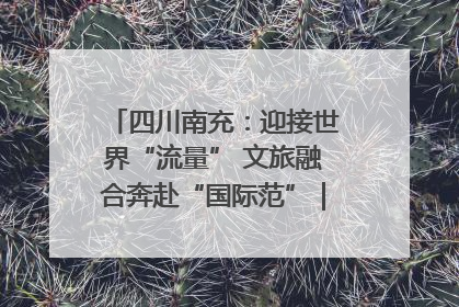 四川南充：迎接世界“流量” 文旅融合奔赴“国际范”｜话锦绣·说安逸