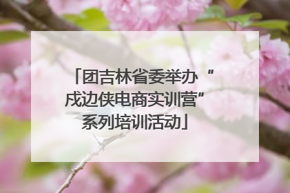 团吉林省委举办“戍边侠电商实训营”系列培训活动