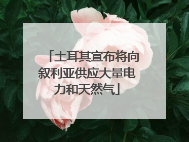 土耳其宣布将向叙利亚供应大量电力和天然气