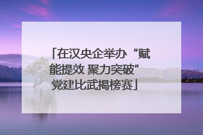 在汉央企举办“赋能提效 聚力突破”党建比武揭榜赛