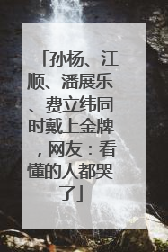 孙杨、汪顺、潘展乐、费立纬同时戴上金牌，网友：看懂的人都哭了