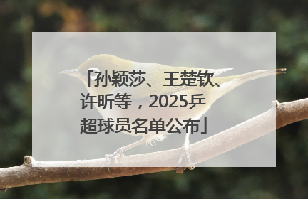 孙颖莎、王楚钦、许昕等，2025乒超球员名单公布