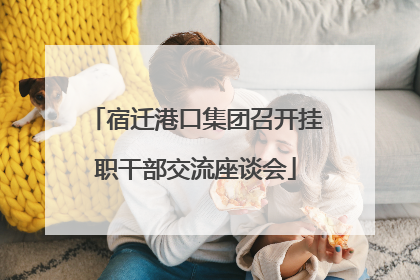 宿迁港口集团召开挂职干部交流座谈会