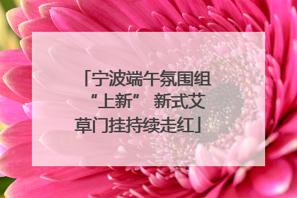 宁波端午氛围组“上新” 新式艾草门挂持续走红
